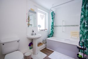 Photo 11- click for photo gallery